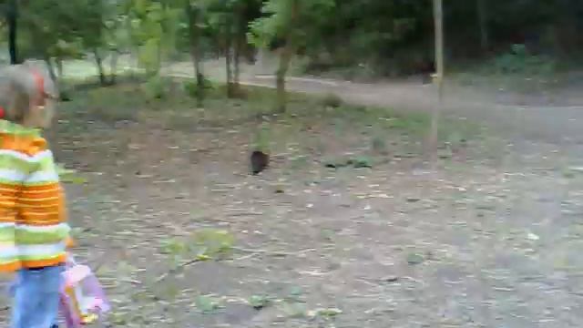 отдых на клебон быке на ниве смотреть онлайн