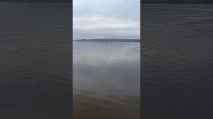 VID20250426124250.mp4