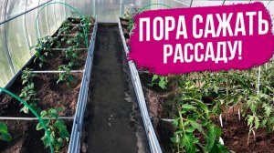 Высадка рассады в теплицу и в контейнеры!