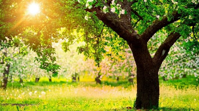 Катюша - поет Анна Герман смотреть онлайн