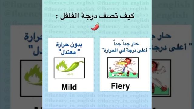 كيف تصف الطعام بالانجليزية جمل سهلة و ممتعة تعلمها الان ! تعلم اللغة الانجليزية learn english смотреть онлайн