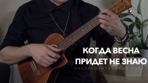когда весна придет не знаю инструментальный кавер на укулеле