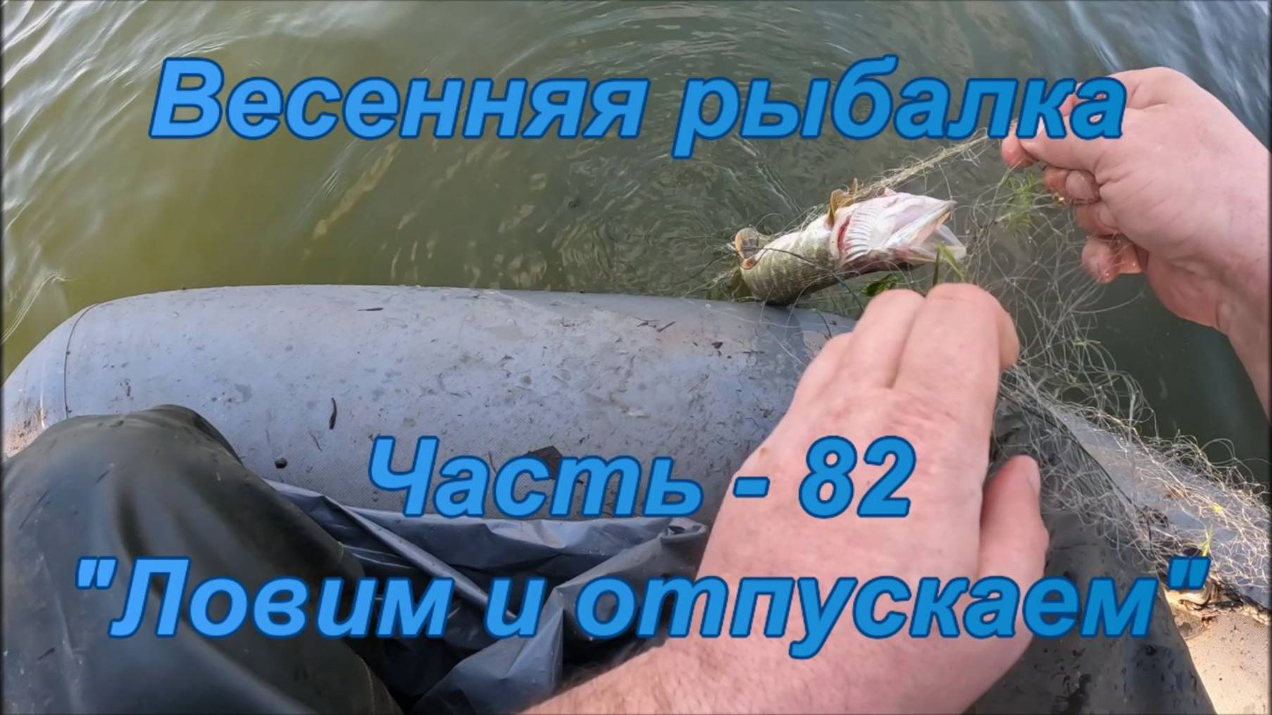 Весенняя рыбалка. Часть - 82. "Ловим и отпускаем". смотреть онлайн