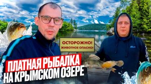 ПЛАТНАЯ РЫБАЛКА В КРЫМУ! 24-часа НА ОЗЕРЕ! СТОИТ-ЛИ ОНО ТОГО!? ВКУСНЫЙ УЖИН НОЧЁВКА НА ПРИРОДЕ!