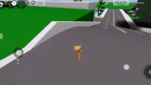 как летать в брукхейвен🤯🤯