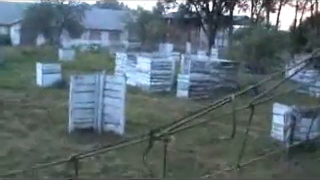 карантин пейнтбол смотреть онлайн