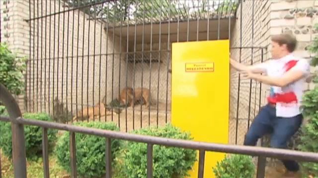 Братья Сафроновы "Клетка с тиграми" Украина Чудес - 2 смотреть онлайн