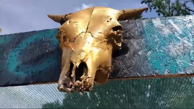 пейнтбол у Боярці відкриття!!! Нарешті!!!!!! для дітей та дорослих boyarkalove смотреть онлайн