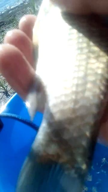 Мой первый улов на. Апариша смотреть онлайн