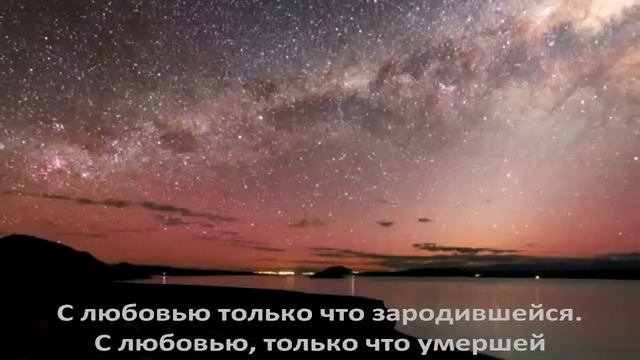 Методие Бужор. IL MONDO. Авторский ролик смотреть онлайн