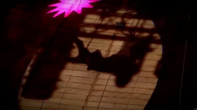 В Твери завершаются гастроли проекта российской государственной цирковой компании «Легенда цирка»