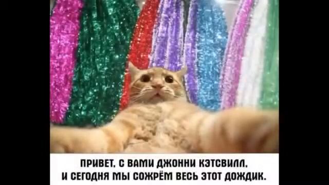 Просто ДЖОНИ КЕТСВИЛ ) Приколы 2014 смотреть онлайн