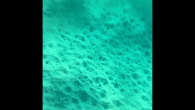 Черепахи на пляже отеля Address Beach Resort Fujairah. ОАЭ, Фуджейра. ЧАСТЬ 2 смотреть онлайн