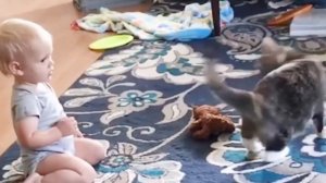 дети и кошки! смешные видео с кошками! веселые видео с детьми! baby and cats funny video!
