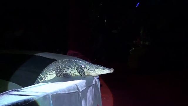 Артем Каракат