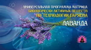 Лаванда 🔊 программа матрица по технологии Гаряева П.П ☀️ SoftRadio.ru