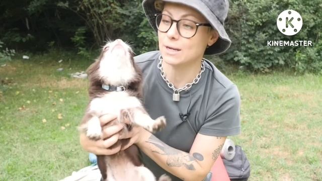 Смешные и прикольные моменты из последних видео Anny Magic🔮 смотреть онлайн