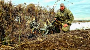 Весенняя охота на гуся 2025