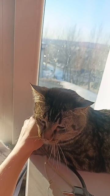 Бананчик на солнышке 🌞 смотреть онлайн