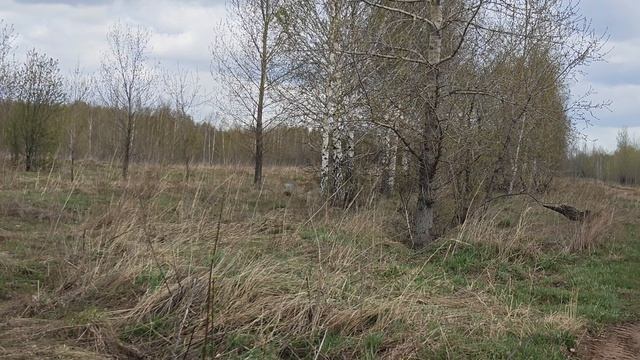 1000054147.mp4 смотреть онлайн