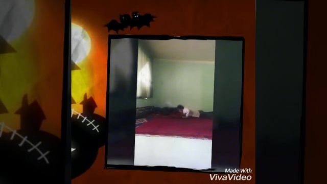 Прикол Рысь новинки смотреть онлайн