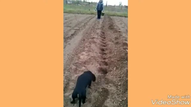 Самые смешные видео и феил Ольги Бузовой!Досмотрите до конца обязательно!!! смотреть онлайн