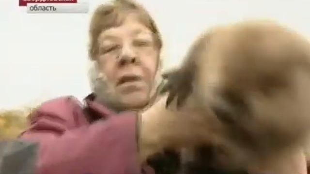 Бобр Семен.mp4 смотреть онлайн