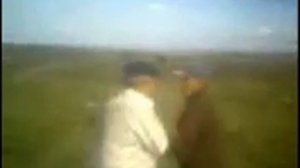 лезги прикол. Проблема 1-2. Разборки в селе Куркент