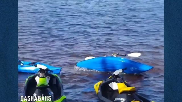 Смотреть всем! ЛУЧШИЕ ПРИКОЛЫ || ОТДАЛА ЛОШАДИ ИГРУШКУ смотреть онлайн