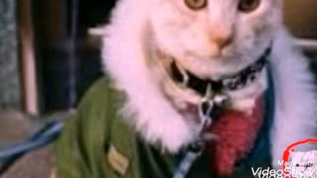 ВЫ ВСЕ ГОВНО /ТИПО БС #11\ смотреть онлайн