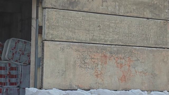 1000054144.mp4 смотреть онлайн