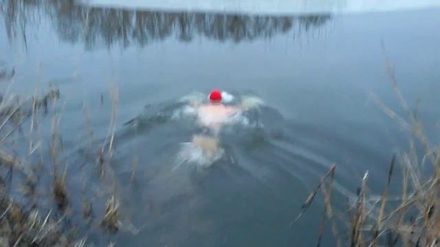 закаляемся зимой.Дайвинг морж рыбалка мой любимый отдых. Ice diving. Ice diver. смотреть онлайн