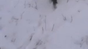 Песня про следы