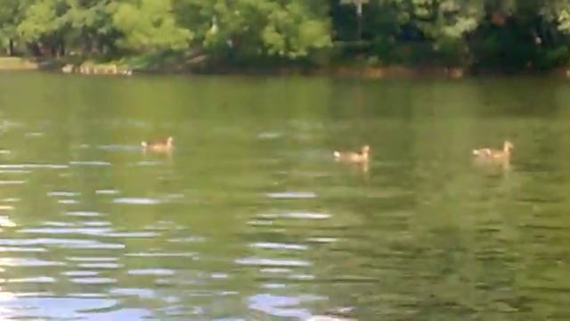 Приятного отдыха смотреть онлайн