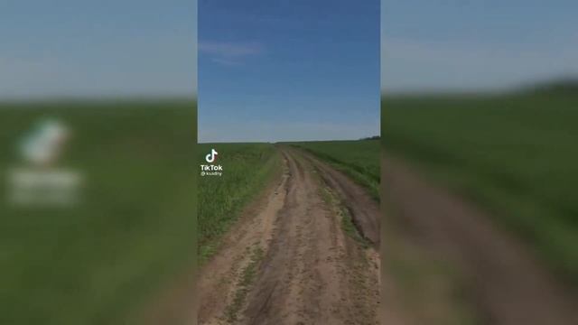 НАСЛЕДИЕ WEIRDCORE