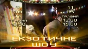 На слонах вокруг света