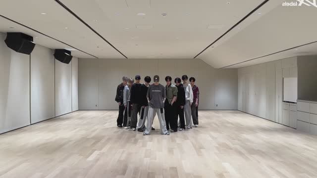 &TEAM - Go in Blind Dance Practice MIRRORED смотреть онлайн