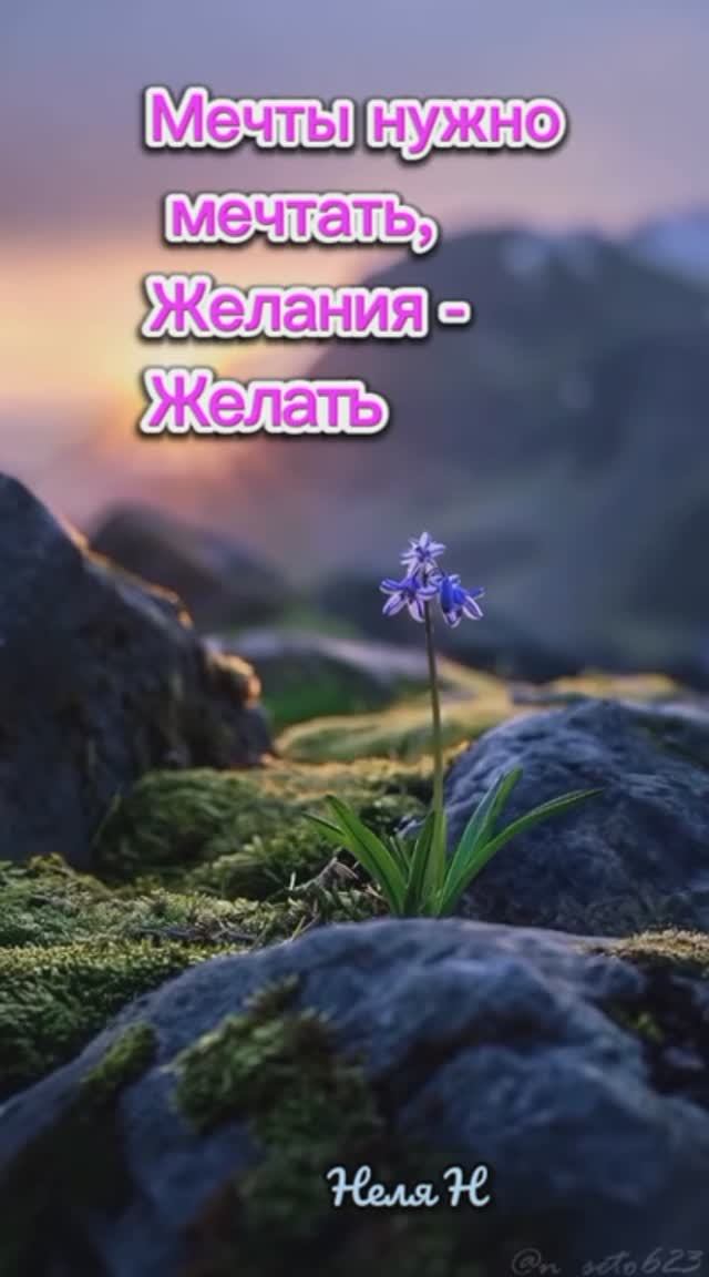 Доброе утро. Добрый день. ВидеоОткрытки смотреть онлайн