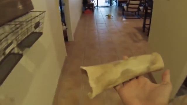 ТЕСТ НА ПСИХИКУ, ПОПРОБУЙ НЕ ЗАСМЕЯТЬСЯ  Смешные приколы и фейлы с животными