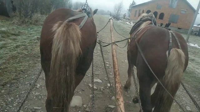 коні в роботі смотреть онлайн