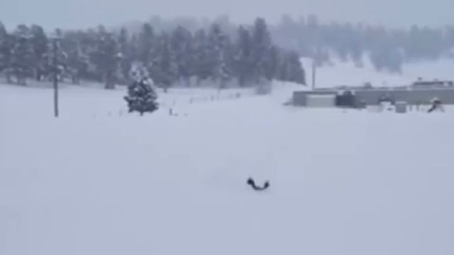 Фото,Видео приколы . Спасибо за комментарии и лайки. смотреть онлайн