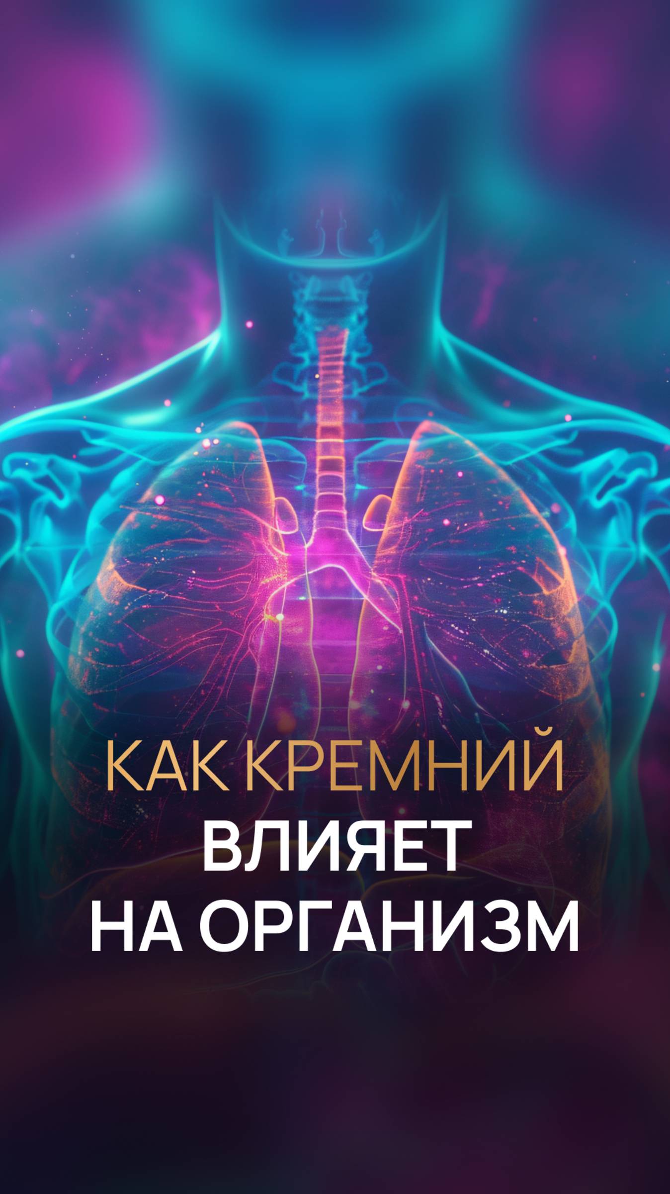 Дмитрий Лапшинов