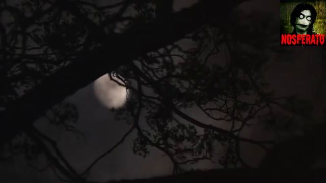 Варёное мясо. Страшные истории на ночь 🫣🫣🫣 смотреть онлайн