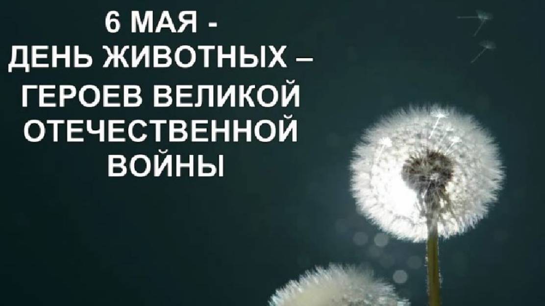 Животные- герои ВОВ смотреть онлайн