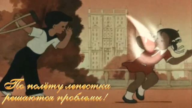 Видео ко дню свадьбы смотреть онлайн