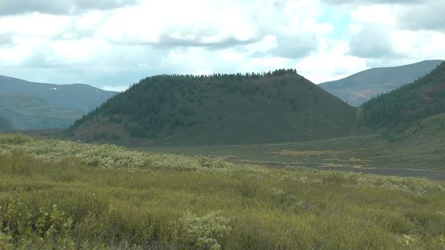 Работу Ирины Чикуновой оценил федеральный канал