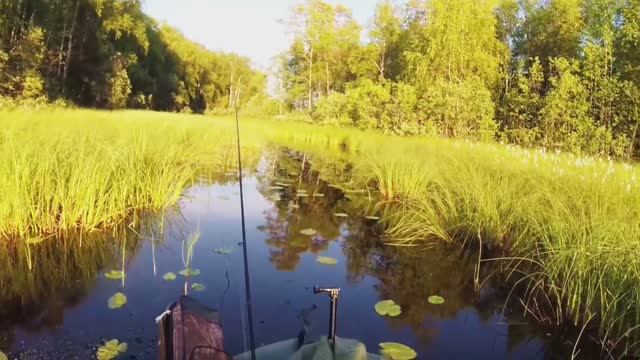 Рыбалка на поплавок и кружки в Карелии . еле добрался до озера смотреть онлайн