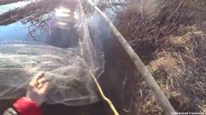 Рыбалка на кривду в ручье.Закинул и чуть не заработал себе грыжу.