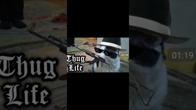 Мой фотошоп смотреть онлайн