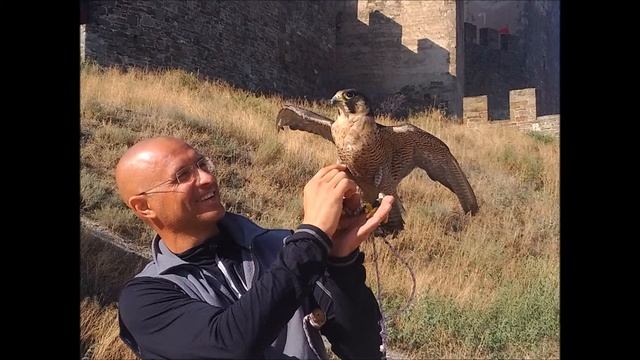 Фотоприколы смотреть онлайн